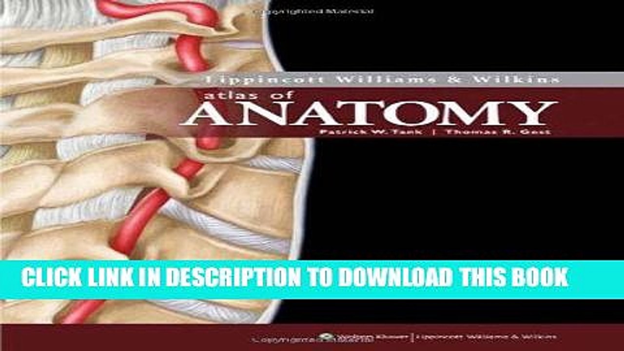 [READ] Mobi Lippincott Williams   Wilkins Atlas of Anatomy (Point (Lippincott Williams   Wilkins))