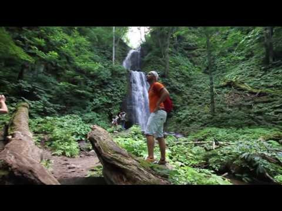 Japón también es natural