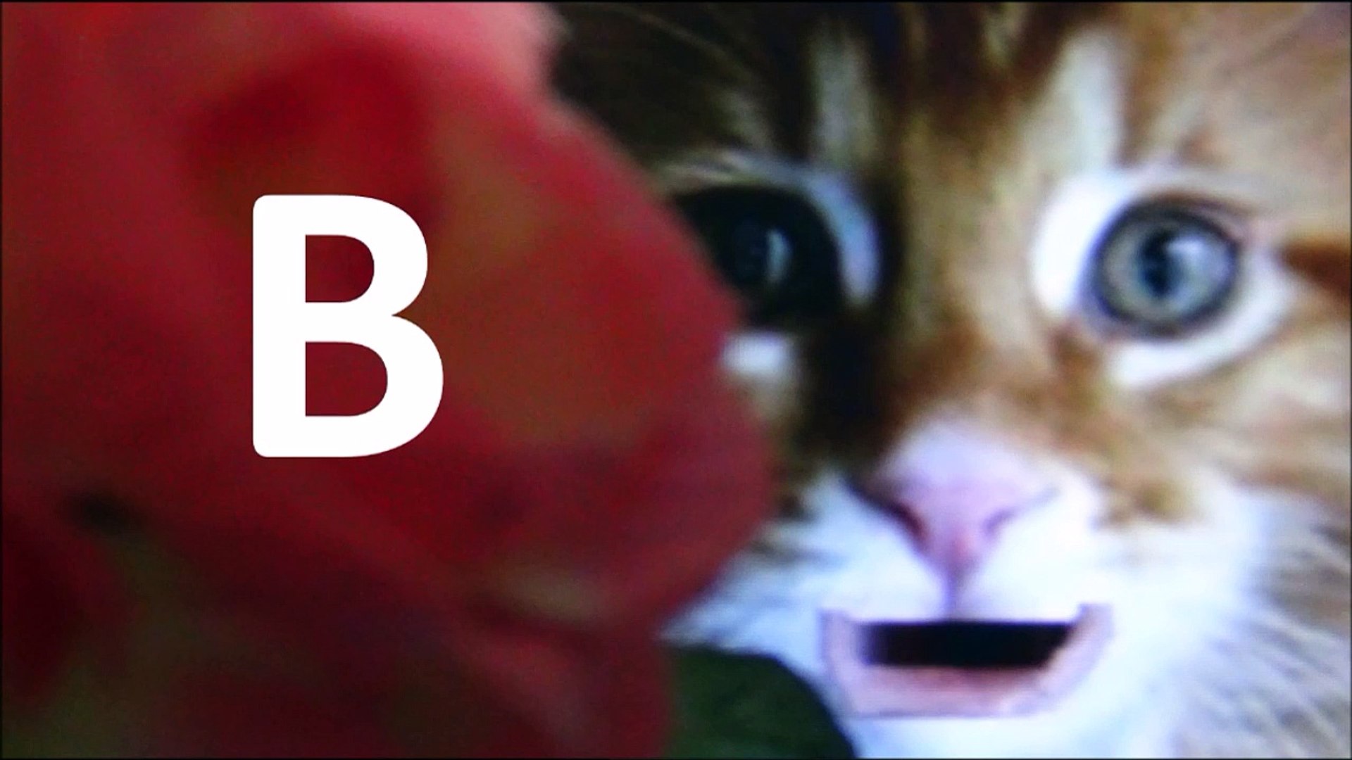 Letter B - Video talking cat learnig Alphabet Letters