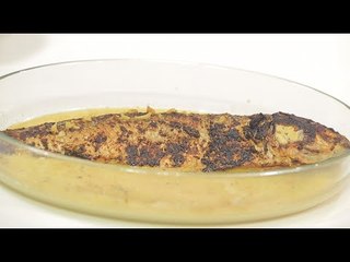 سمك بوري بالفرن | عماد الخشت