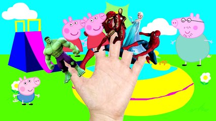 Finger Family collection Spiderman Frozen Elsa Peppa pig Lollipop Nursery Rhymes Lyrics for Kids