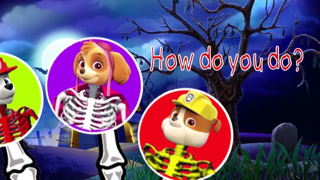 Paw Patrol Transforms HULK Incredible Finger Family Songs Nursery Rhymes Lyrics