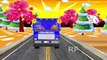 Wheels Of The Bus Go Round And Round Rhymes For Kids | Popular Kids Rhymes For Children