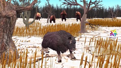 Finger Family Bison And Rhino Cartoons For Children | Finger Family Nursery Rhymes For Babies