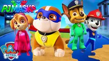 PJ MASKS PAW PATROL Owlette Gekko Romeo Night Ninja Turns to Skye Rubble Chase Marshall