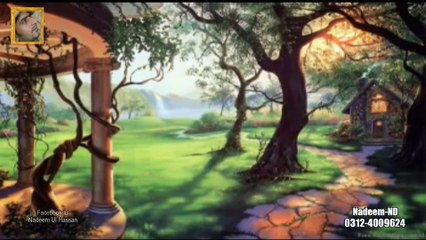 Dil Ko Qabar Bana Kar jate to Acha tha