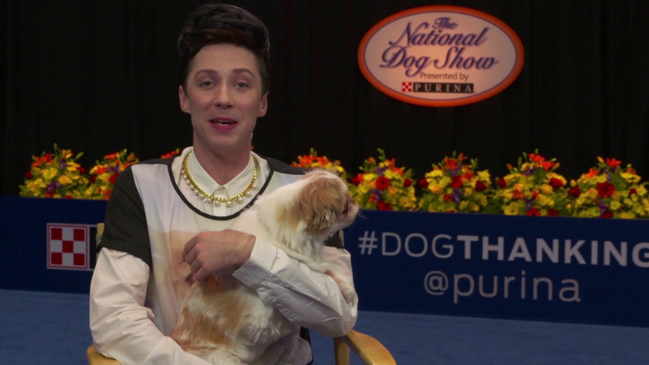 IR Interview Johnny Weir For "Purina National Dog Show" [NBC] video