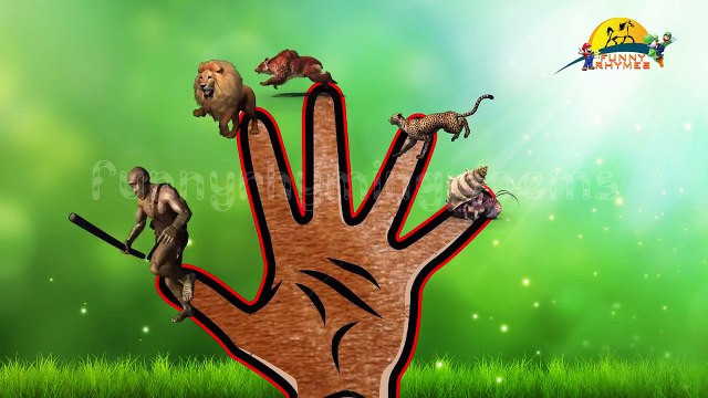 Finger family rhyme | Tiger And Crzay 3d animated Cartoons | 3d Animals
