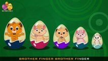 Surprise Egg Cat | Surprise Eggs Finger Family | Surprise Eggs Toys
