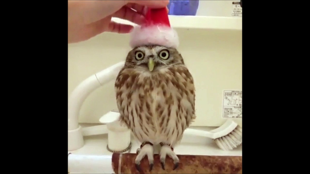 Ma deco de noel