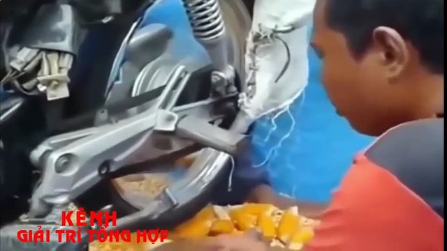 LUCU BANGET!, Bikin NGAKAK ABIS ABISAN, GOKIL Banget