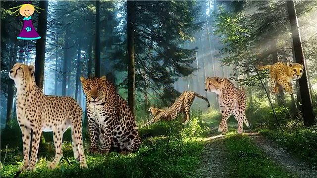 Finger Family Nursery Rhymes for Children CHEETAH Cartoon | CHEETAH 2D Animation for Pre School