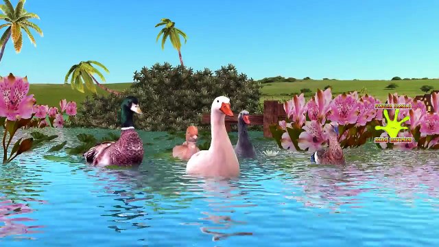 Birds Finger Family Rhymes|Spiderman vs Ostrich |Learn Birds And Finger Family Rhymes with Spiderman