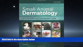 FAVORIT BOOK Small Animal Dermatology: A Color Atlas and Therapeutic Guide, 4e BOOK ONLINE