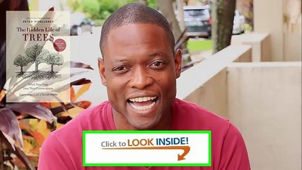 The Hidden Life of Trees What They Feel2