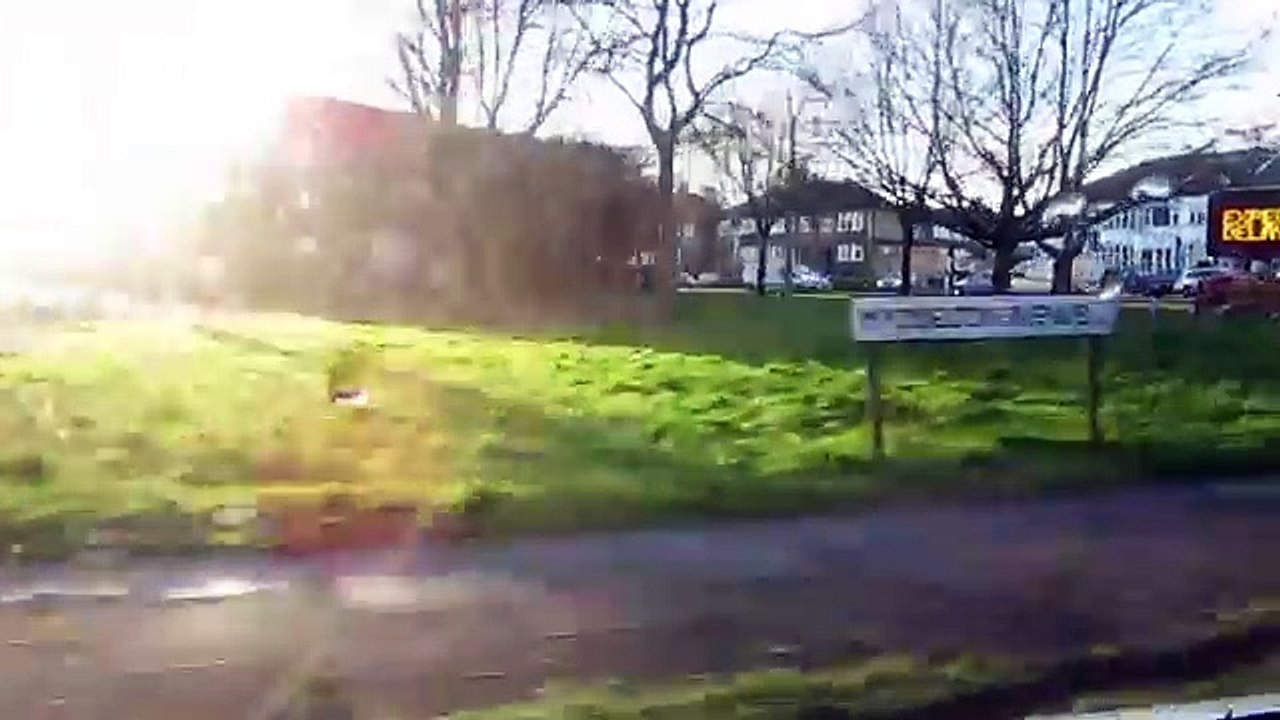 Happy Vlog