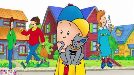 Caillou Finger Family Song ✔ Caillou finger family song and nursery rhymes for children
