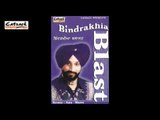 Ranjha Peenda Daaru (Remix) | Bindrakhia Blast | Popular Punjabi Songs | Surjit Bindrakhia