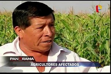 Contrato y Partida: ¿Volverá Nadine Heredia?