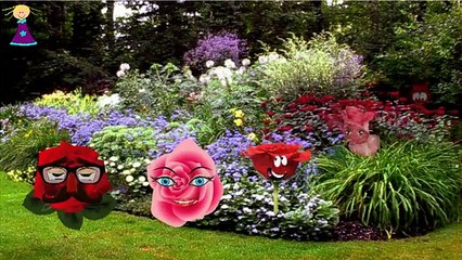 Finger Family ROSE Cartoon Nursery Rhymes | Finger Family Children Nursery Rhymes