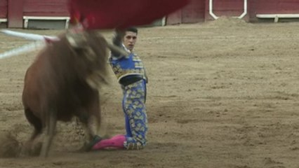 Los astados de Juan Petro Domecq hacen brillar a Ponce, Talavante y Adame