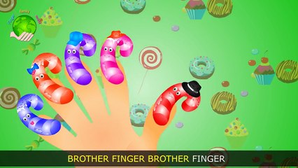 CANDY CANE Finger Family | Cartoon Animations Finger Family Rhyme for Kids