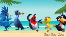 Finger Family Nursery Rhymes Rio Rhymes for Kids Movie Rhymes Children
