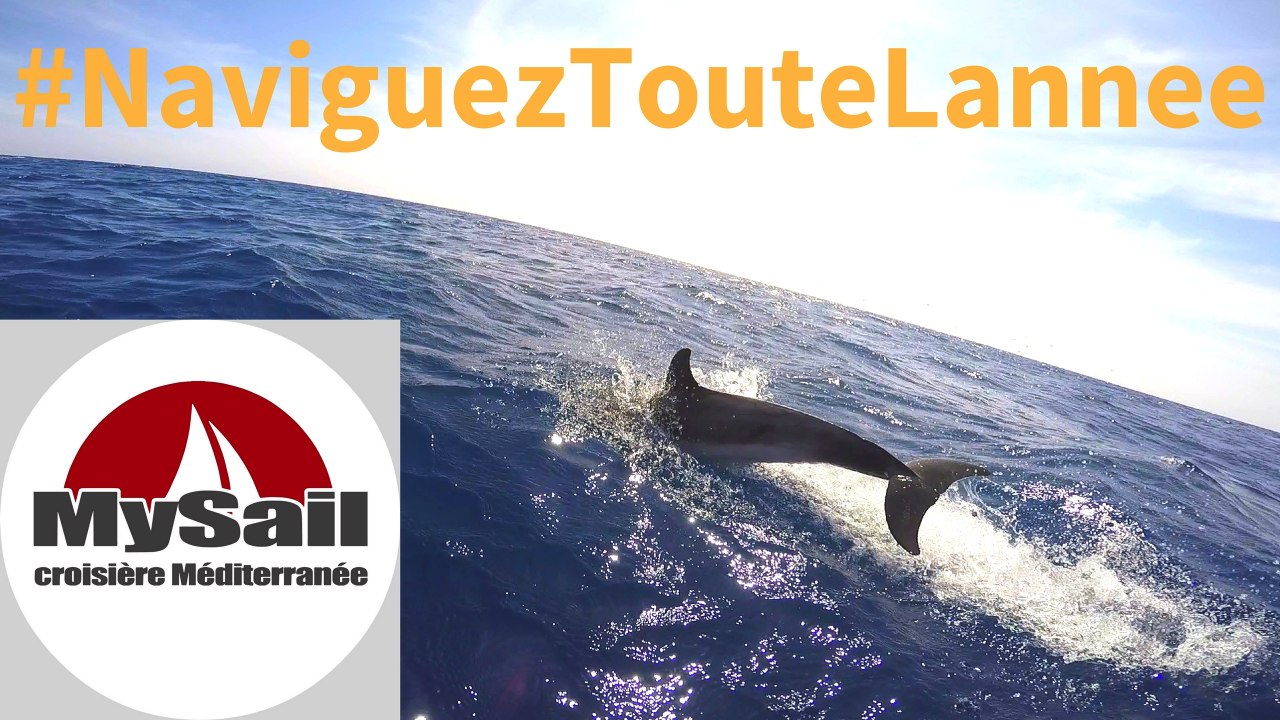 My Sail croisière Méditerranée - navigation voilier - Porquerolles dauphins