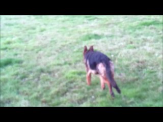 Moka, mode je patauge