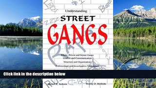 READ THE NEW BOOK Understanding Street Gangs Robert K. Jackson TRIAL BOOKS