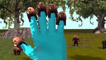 Bear 3D Animated Finger Family Rhymes For Children Top 10 | Finger Family Songs