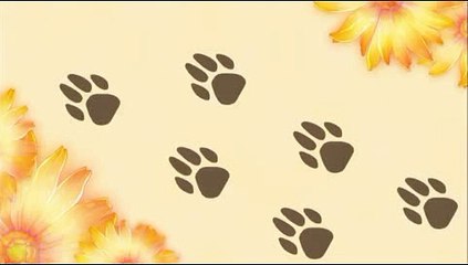 토토 (180)토토추천 // ∠[＼]∠보,기 : yoyo88 ,COM∠＼≠＼∠ //jc 축구배당사이트 // 라이브스코어사다리