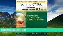 Buy Patrick R. Delaney Wiley CPA Examination Review Practice Software 14.0 Financial Accounting