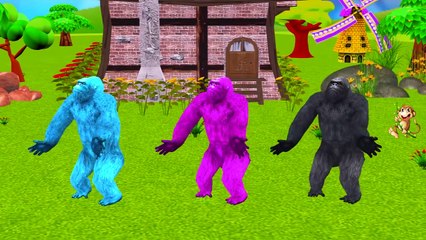 Colors Animals Power Wheels Car Race Finger Family | Gorilla Dinosaur Finger Family Nursery Rhymes