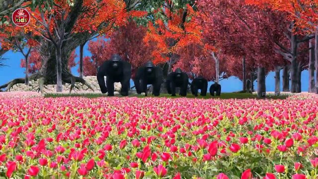 3D Animated Animal Finger Family Rhymes Collection - Nursery Rhymes For Kids