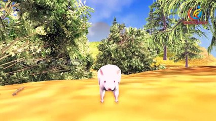 Cow ,Buffalo, Donkey Animals finger family nursery children rhymes