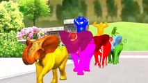 Colors Horse Racing With Santa Claus The Santa Claus Cartoons 3dColors Horse Animated Nursery Rhymes