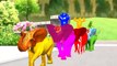Colors Horse Racing With Santa Claus The Santa Claus Cartoons 3dColors Horse Animated Nursery Rhymes