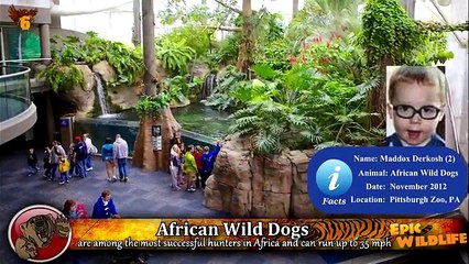 8 Most Devastating Animal Attacks