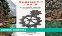READ book Towards Collective Liberation: Anti-Racist Organizing, Feminist Praxis, and Movement