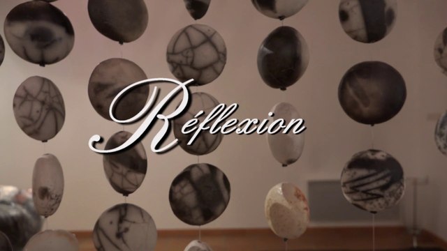 Réflexion exposition à FONTAINE LES DIJON