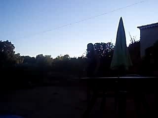 Moi sote a leau abillé