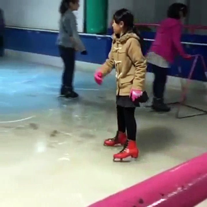 Japon : Un parc proposait de patiner sur des poissons congelés !