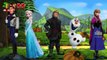 Disney Frozen Finger Family Rhymes | Disney Frozen Finger Family Songs Nursery Rhymes