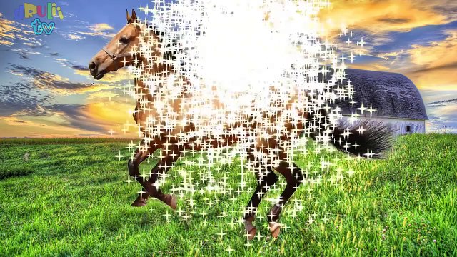 Learn Domestic & Farm Animals Names and Sounds for Toddlers kids children