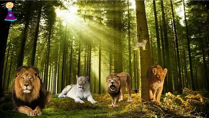LION Cartoons Finger Family Rhymes for Children | Finger Family Children Nursery Rhymes