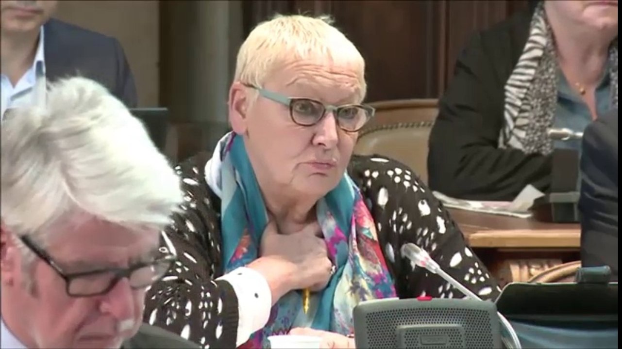 Colette POPARD. Discussion générale. Session du 28 novembre 2016