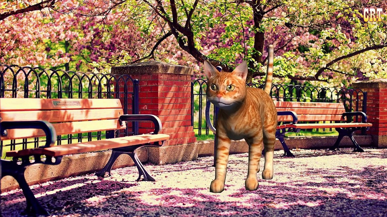 The Pussy Cat Nursery Rhymes | Nursery Rhymes For Children