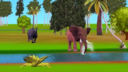 Elephant Vs Rhino | Elephant Finger Family | Cartoon Animation Rhymes HD