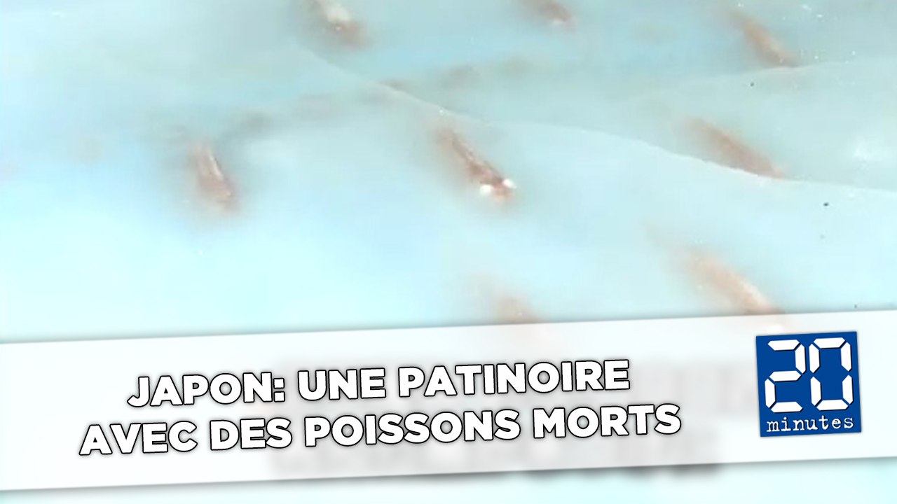 Japon: Une patinoire avec des poissons morts